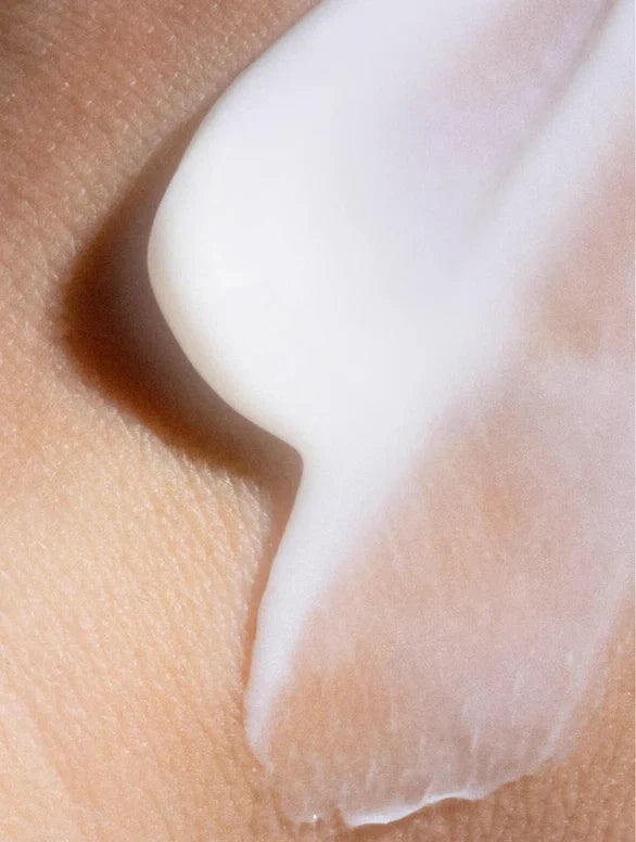 Cncpt 04: Hydrate